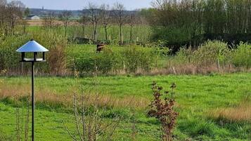 Mobile Home | Property grounds