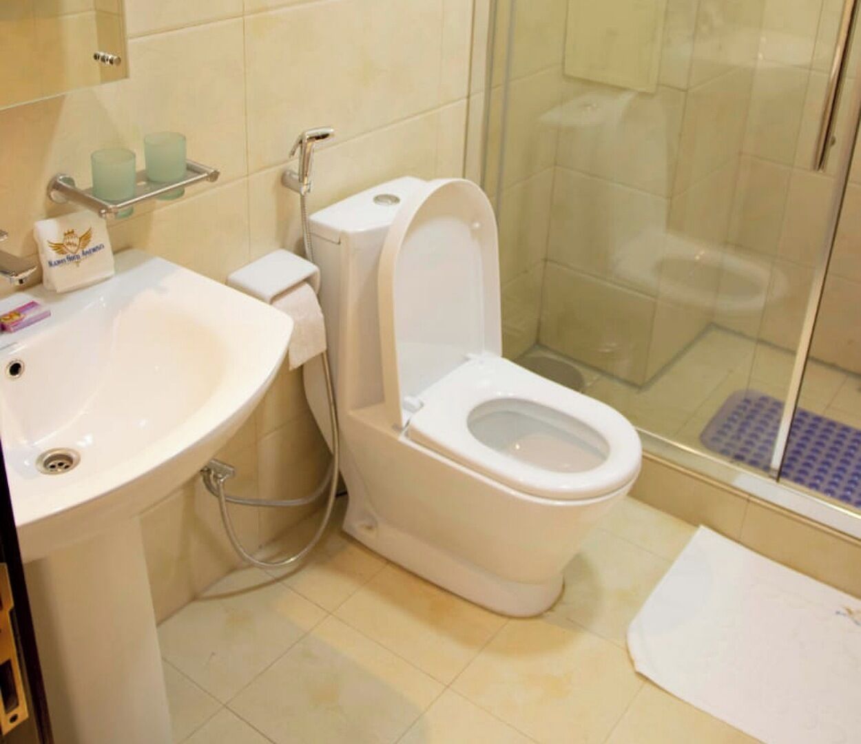 Hair dryer, bidet, towels, soap