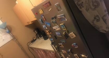 Gemütliche zwei Raum Wohnung in Zwickau