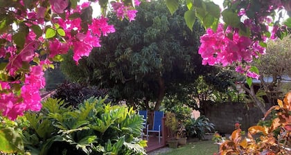 Home Away From Home in Soufriere. Stay With a Warm, Welcoming Local Family!