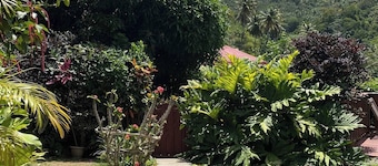 Home Away From Home in Soufriere. Stay With a Warm, Welcoming Local Family!