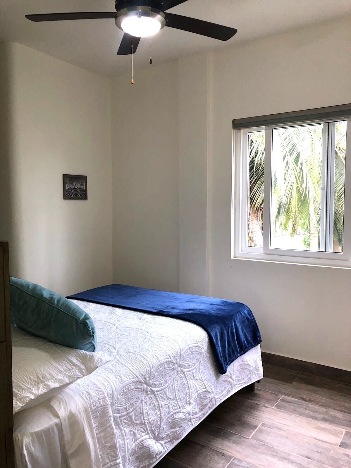A bedroom with a bed, a ceiling fan, a window with a view of palm trees, and a framed picture on the wall.