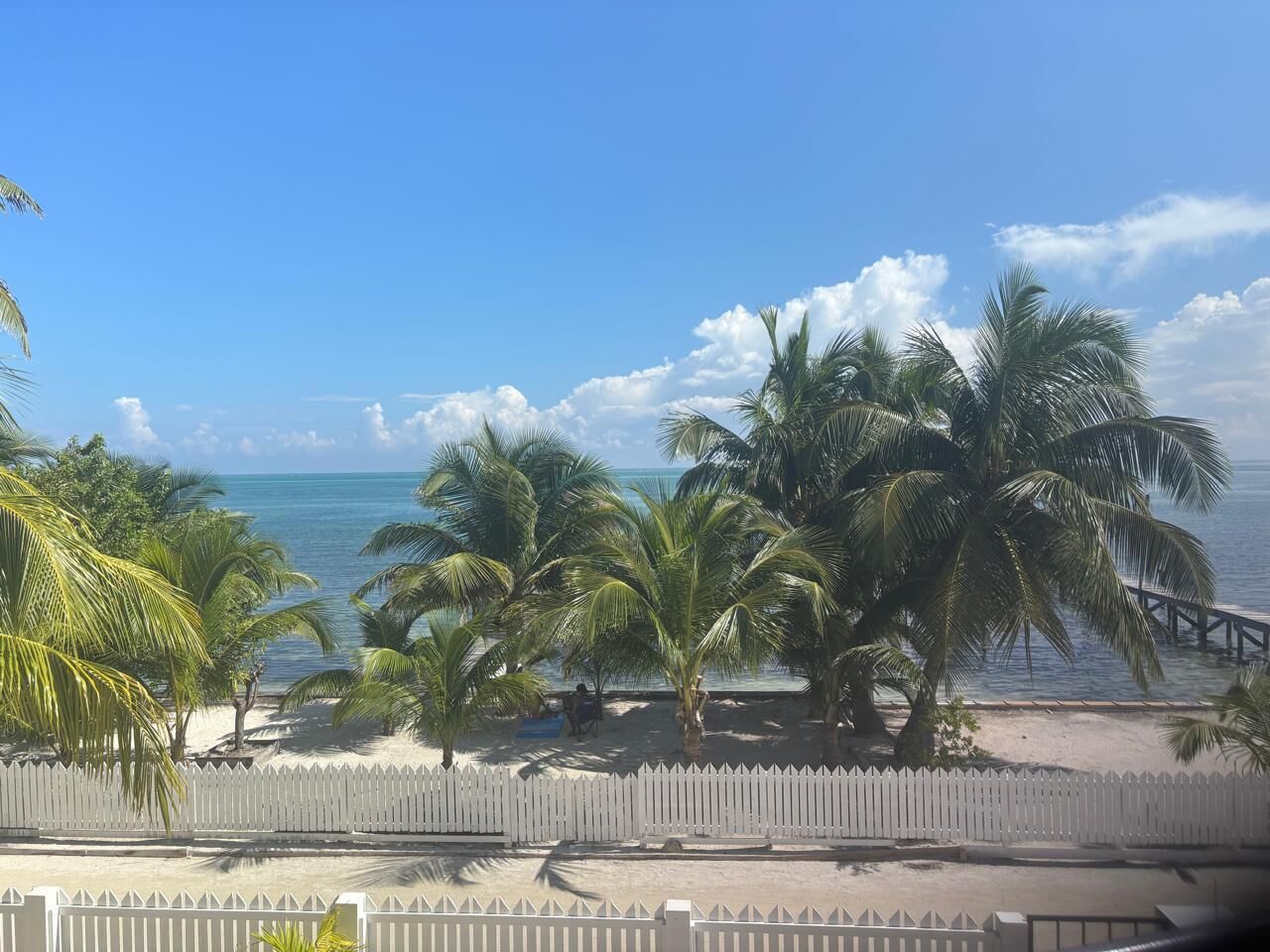 Blick auf einen Strand mit Palmen und einem weißen Zaun.