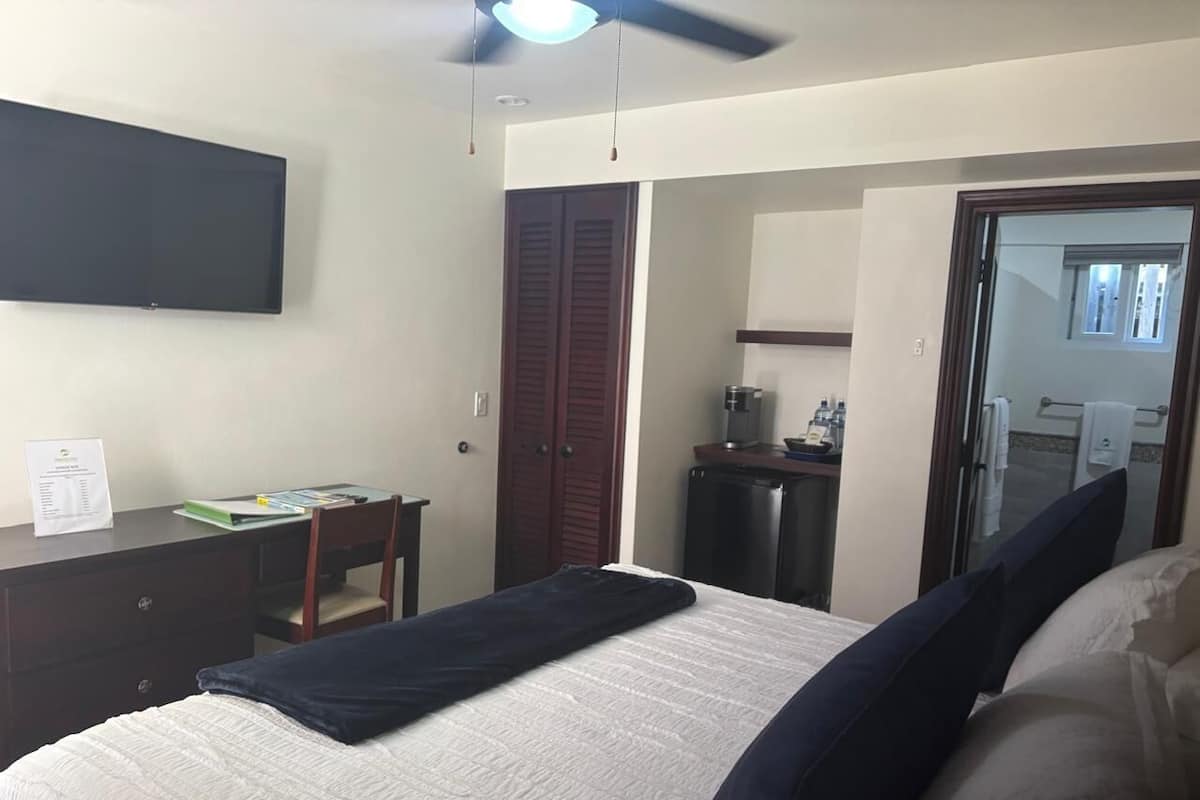 Luksus-studiosuite | Egyptiske bomuldslagner, premium-sengetøj, pengeskab på værelset