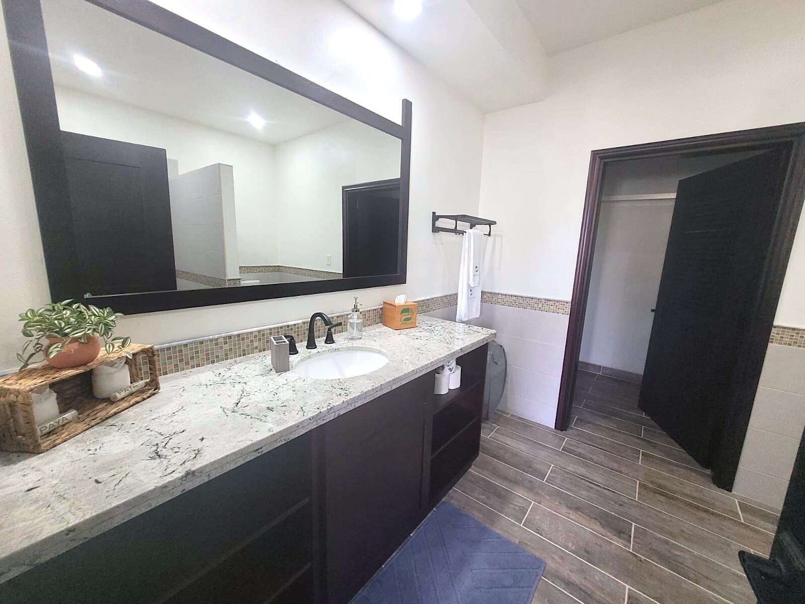 A bathroom with a large mirror, a sink, a potted plant, and a towel rack.