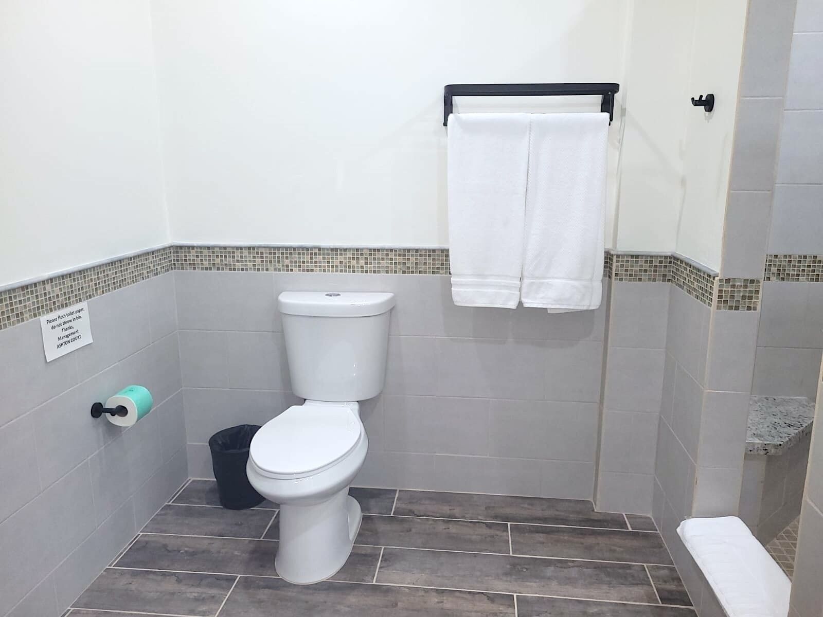 Un baño con inodoro, toallero y cubo de basura.