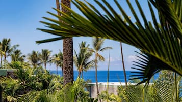 Condo, 1 King Bed with Sofa bed (Alii Villas#304 Top Floor Condo with ) | Property grounds