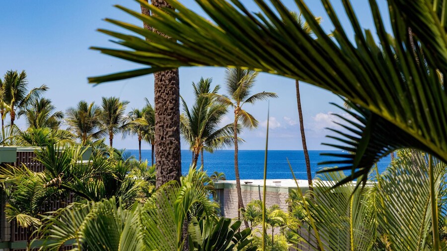 Alii Villas#304 Top Floor Condo With Ocean Views!