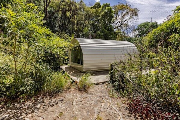 Una estructura moderna y alargada, integrada en la exuberante vegetación, con un sendero de piedra que la lleva a ella.