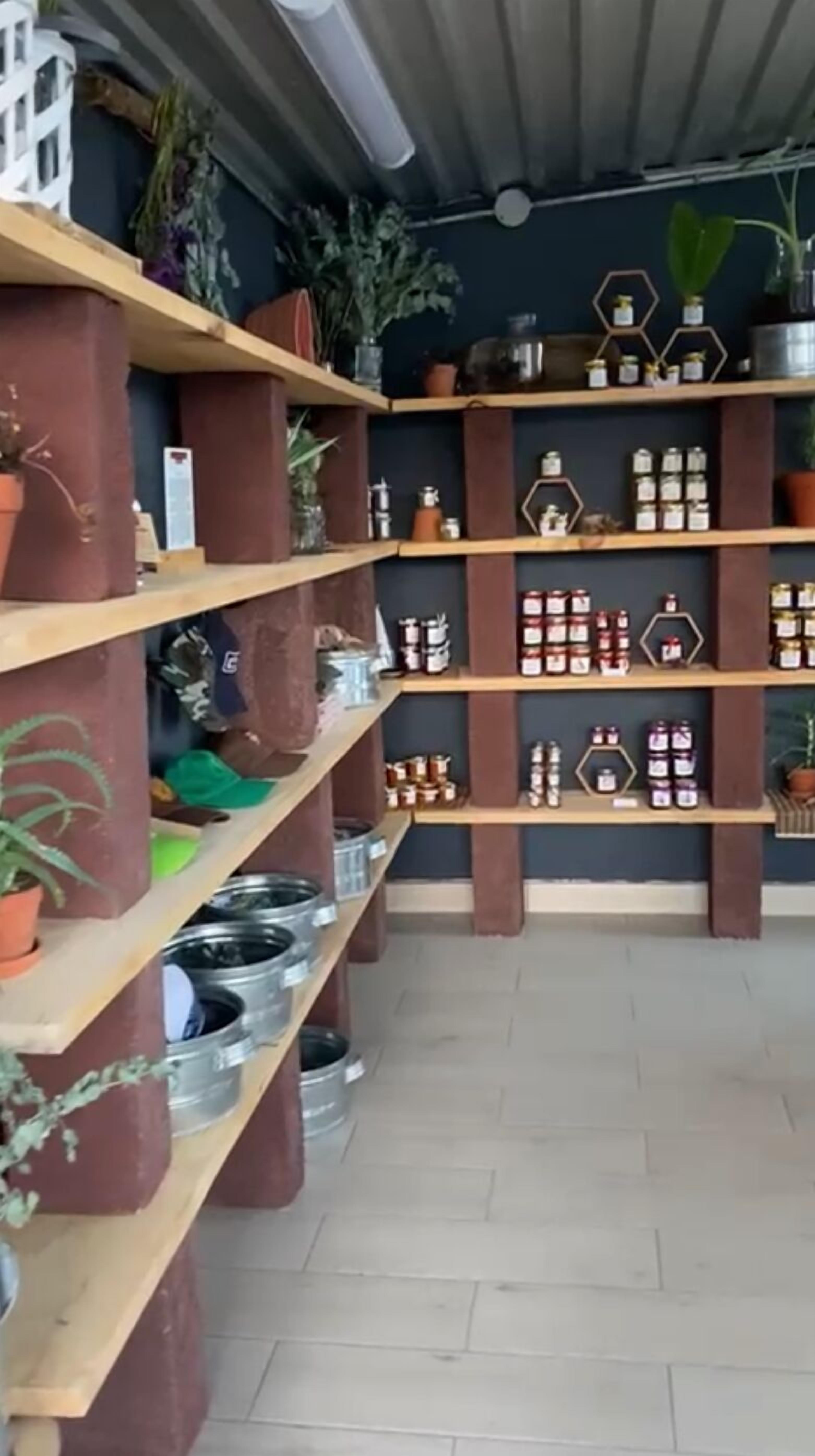 Un magasin avec des étagères en bois où sont exposés des bocaux et des plantes en pot.