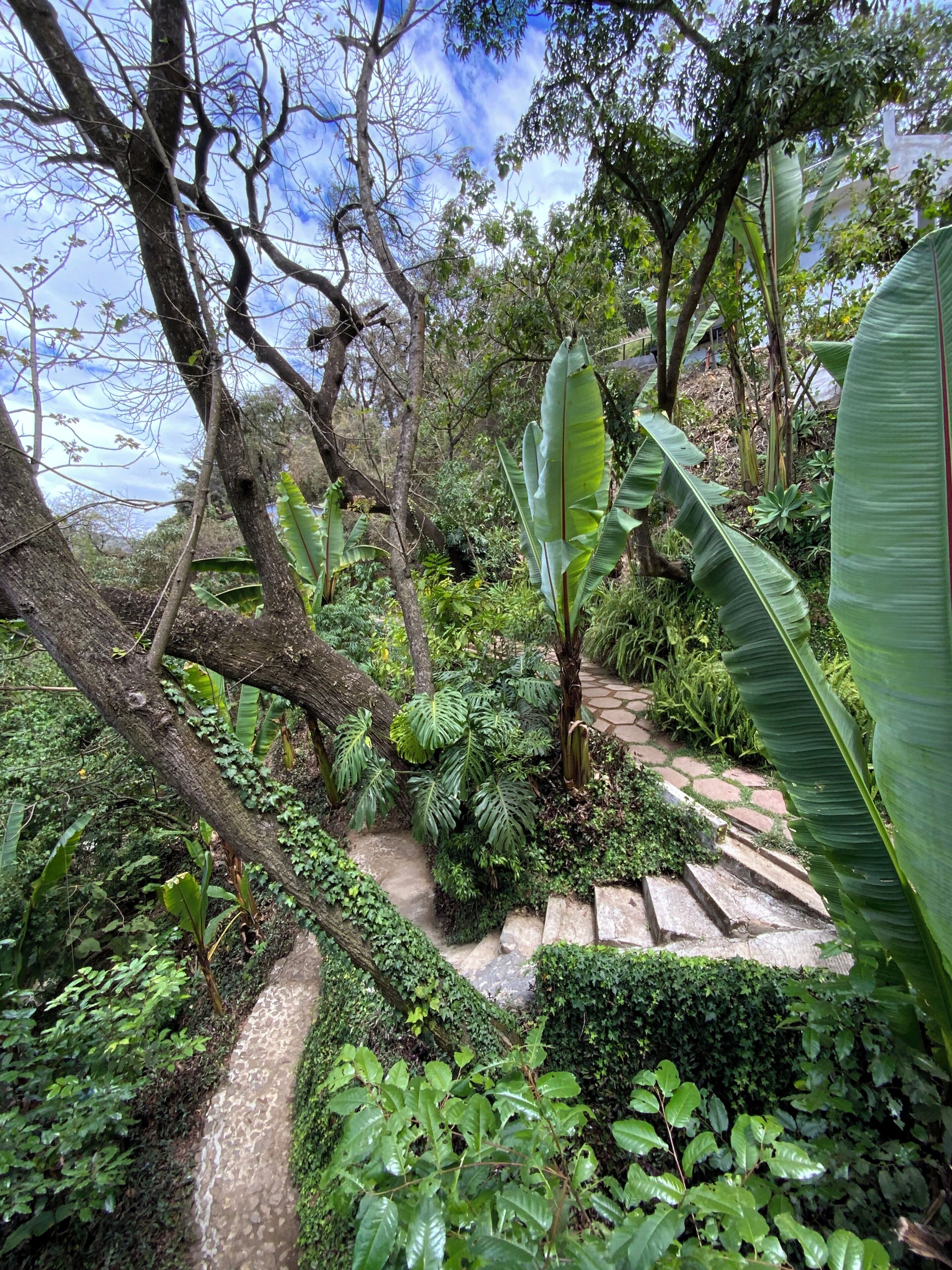 Jardines del alojamiento