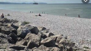 A pebbled beach with large rocks in the foreground and people in the water. - 3 Bedroom Caravan to Hire (Abergele)