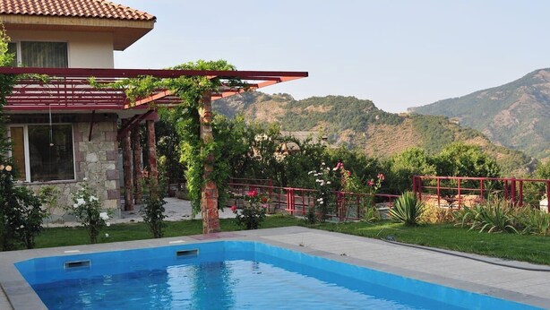 A swimming pool with a stone structure, surrounded by greenery and a red pergola. - Gosh Dream House (Gosh)