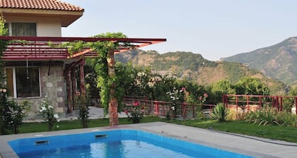 Gosh Dream House