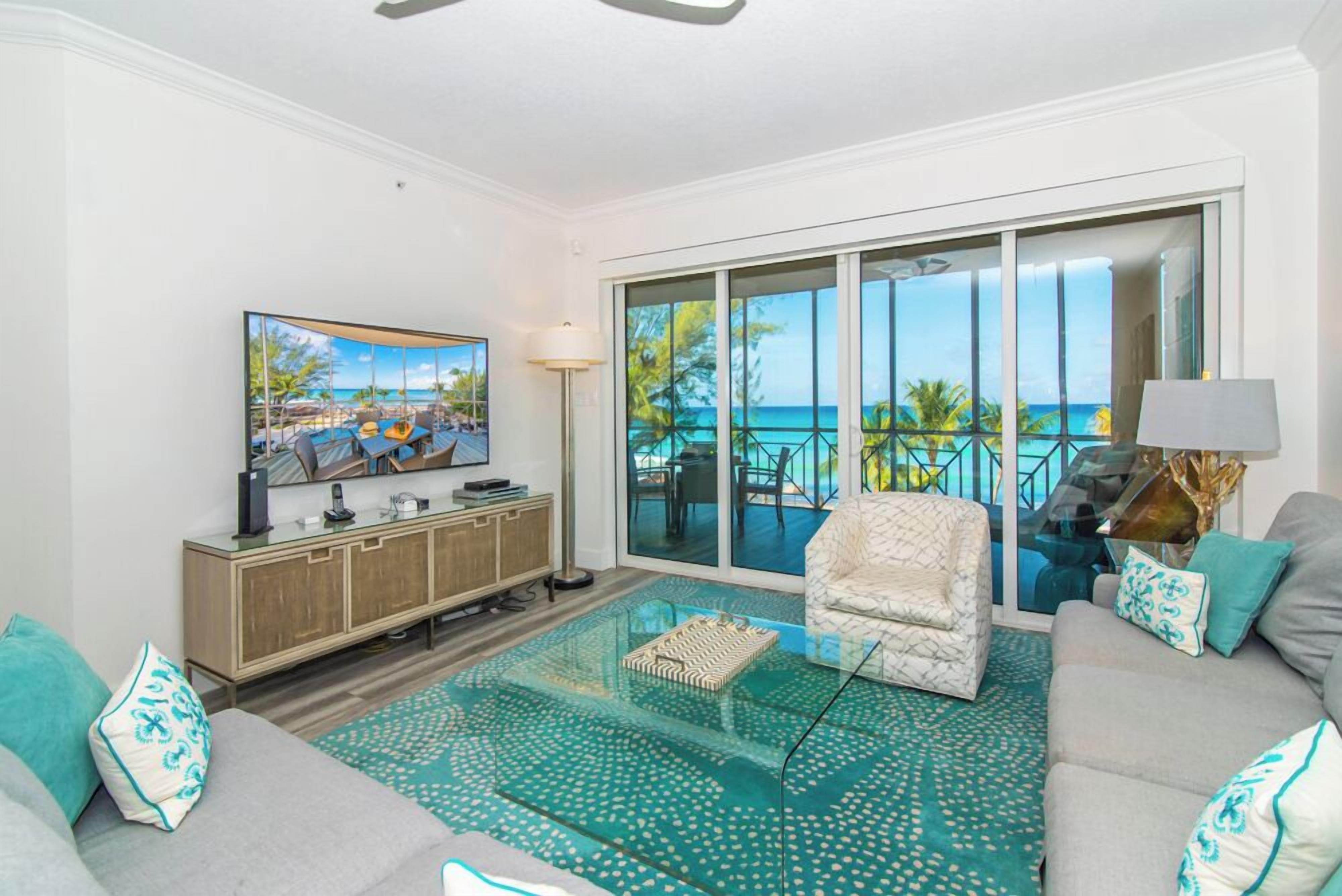 电视、DVD 播放器