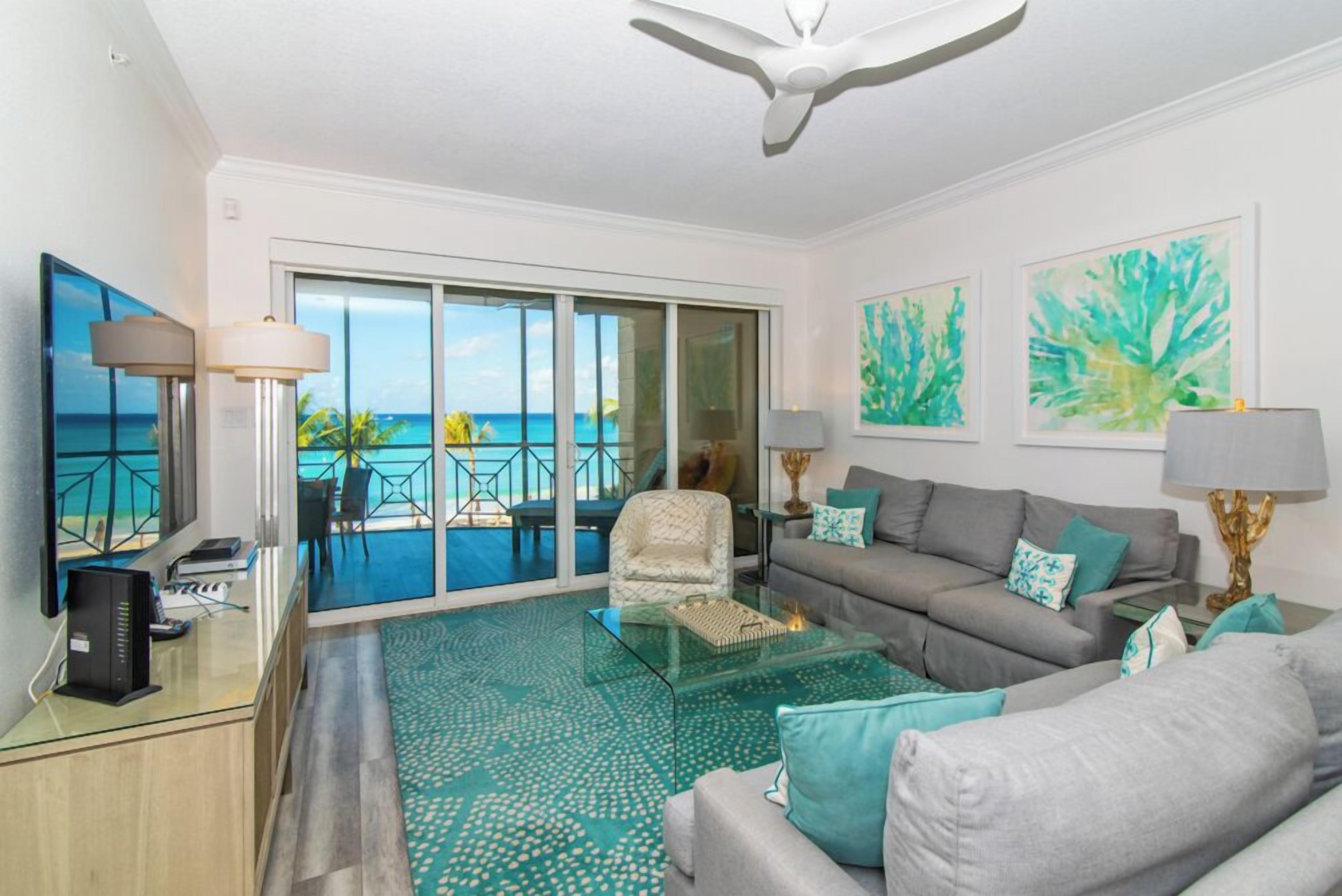 电视、DVD 播放器