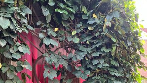 Unclassified image, 5 of 31, button - Son de La Loma Apartments (Envigado)