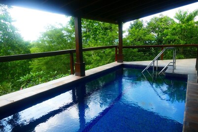 Elegant Jungle Hacienda w/ Pool | Optional Rustic Palapa