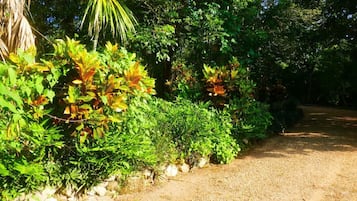 Àrea exterior de l'allotjament