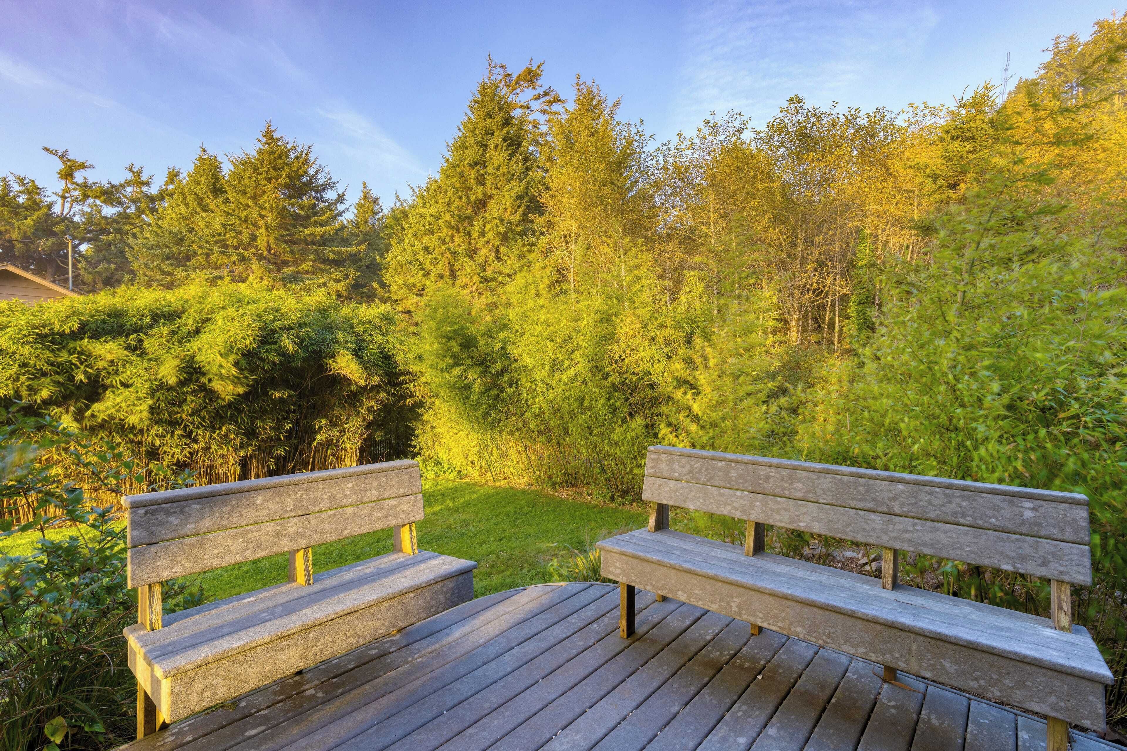 A wooden deck with two benches facing a lush green garden with dense foliage and trees.