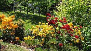 Rumah | Halaman properti