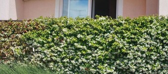 Idyllic Oasis Comfortable Holiday Residence