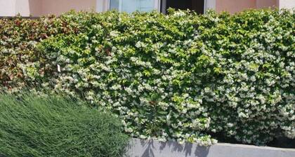 Idyllic Oasis Comfortable Holiday Residence