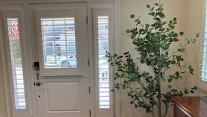 Une porte avec une fenêtre, une plante en pot et un meuble en bois.