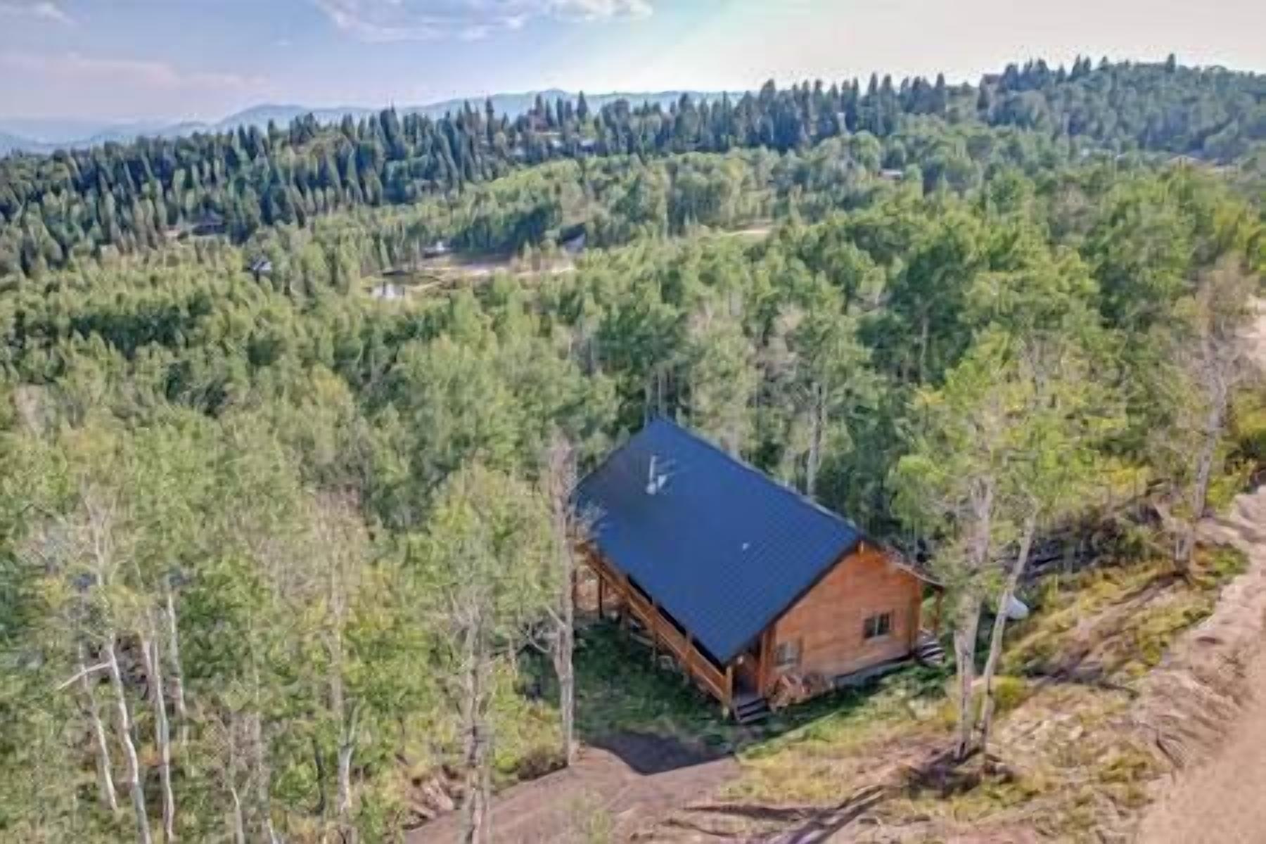 Une cabane à toit sombre, entourée d’une forêt dense et avec une chaîne de montagnes en arrière-plan.