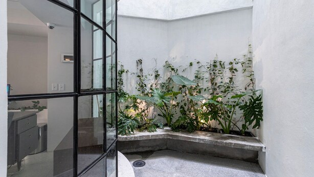 A modern interior with a glass partition, a concrete bench, and various green plants. - Blueground Oaxaca CDMX (Mexico City)