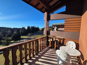 Property grounds - Appartement familial au Revard, vue sur le jardin d'enfant et pistes (Les Deserts)