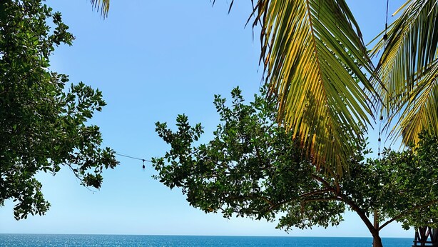A clear blue pool with wooden deck and lounge chairs, surrounded by trees and overlooking the ocean. - Nochtli Beach House (Playas Negras)