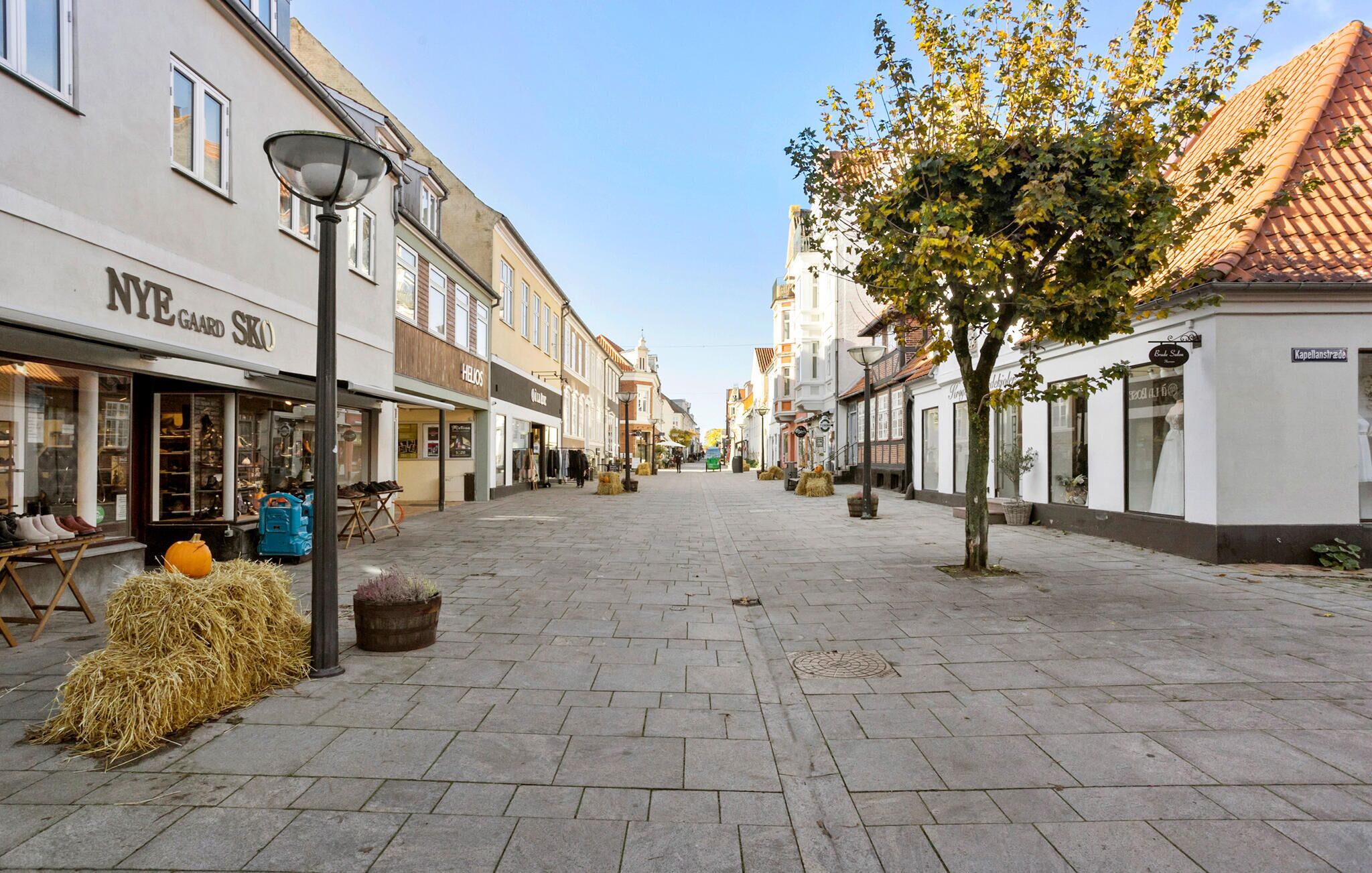 A pedestrian street lined with shops and a tree.