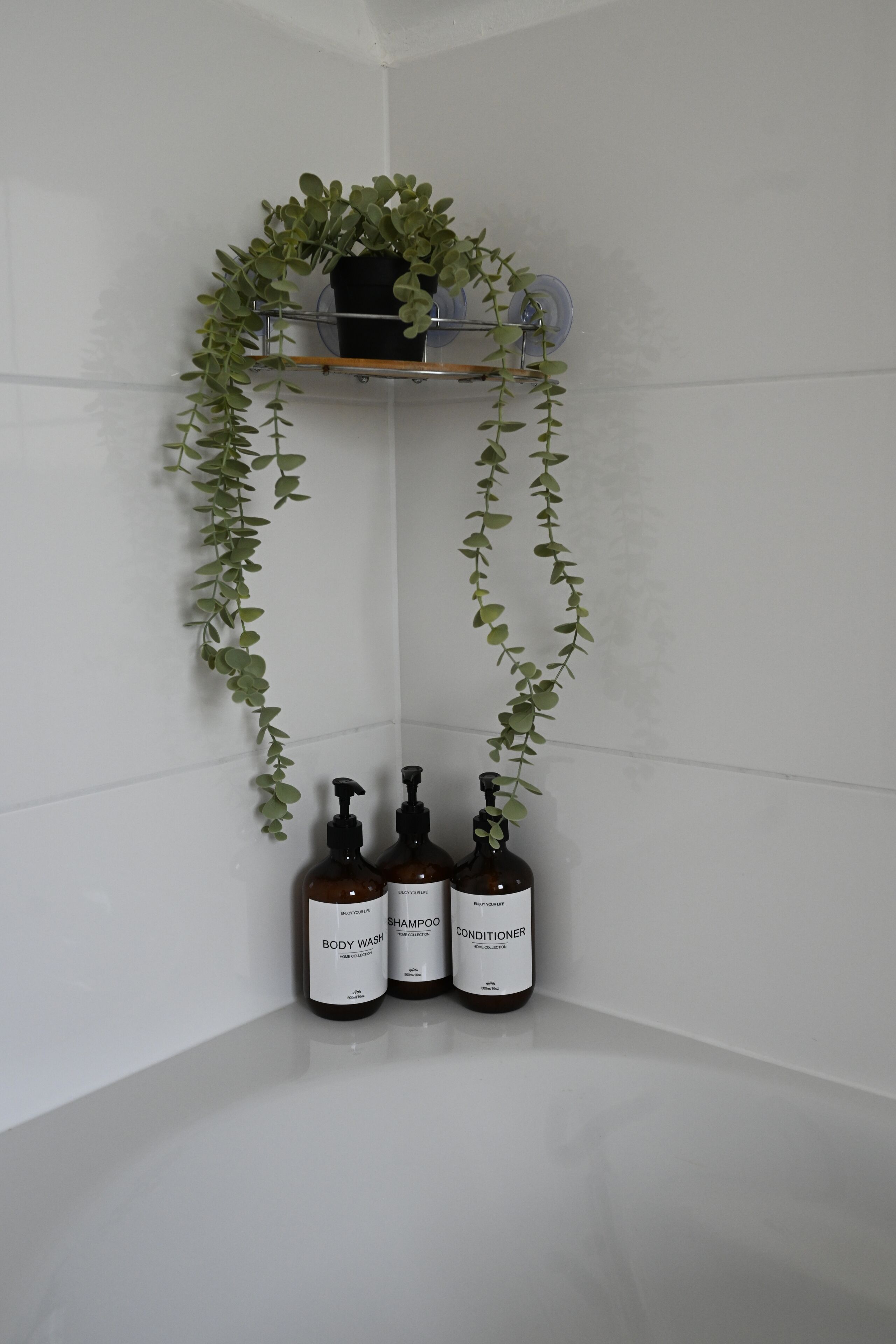 A bathroom with a white tiled wall, a shelf with a potted plant, and two bottles of body wash and conditioner.