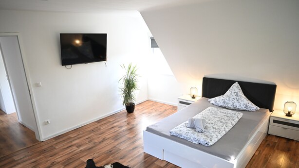 Un dormitorio moderno con cama, mesitas de noche, televisor, planta en maceta y alfombra de cuero de vaca.