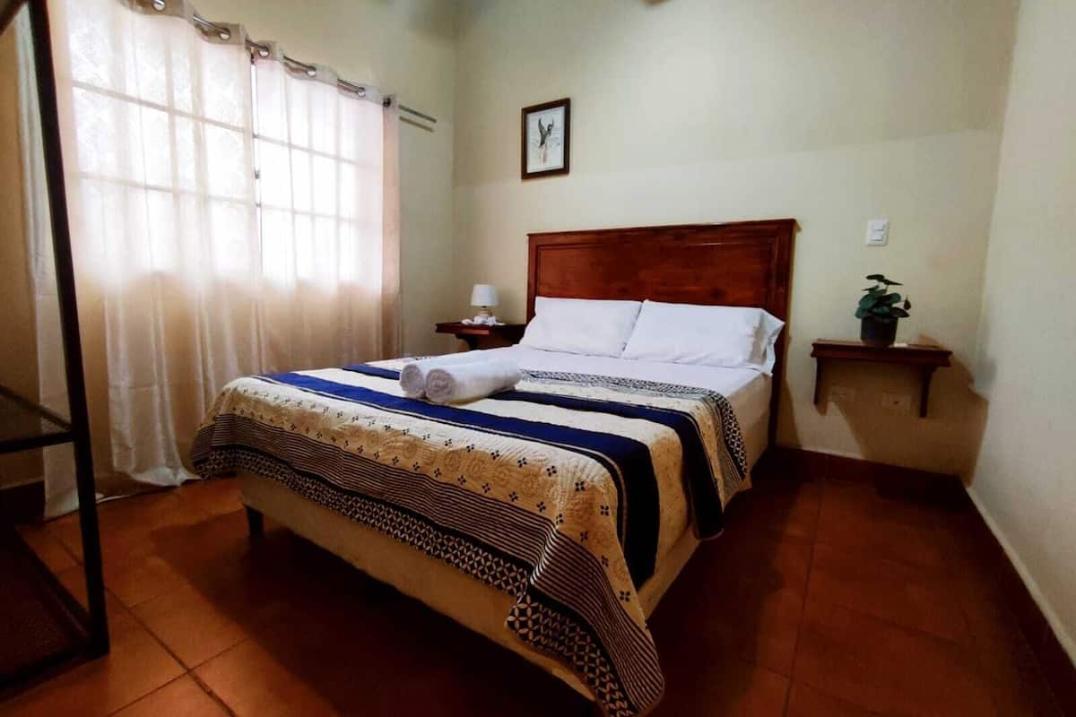 A hotel room with a bed, a nightstand, a lamp, a potted plant, and a window with curtains.
