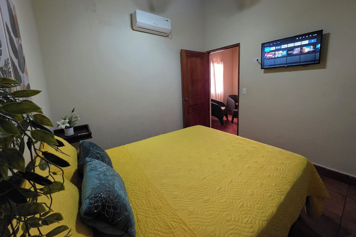 A bedroom with a bed, a television, an air conditioner, and a door leading to another room.