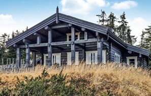 Ulkopuoli