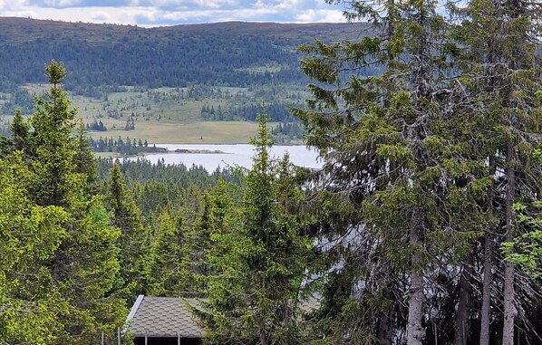 A cabin surrounded by dense forest and a lake.