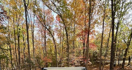 Private Cozy Cabin in the woods minutes from Baldwin with WiFi, AC and Hot Tub