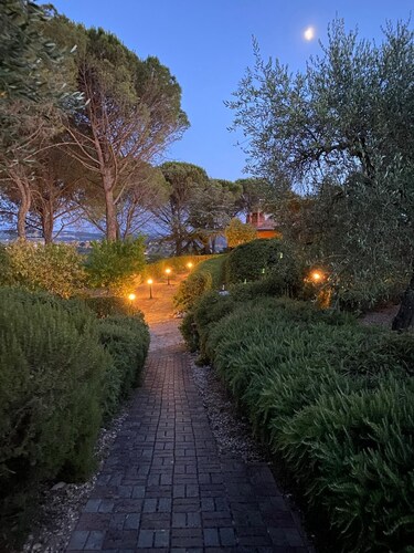 Charming  and Spacious 1-bedroom apartment in tranquil Otricoli with WiFi, AC