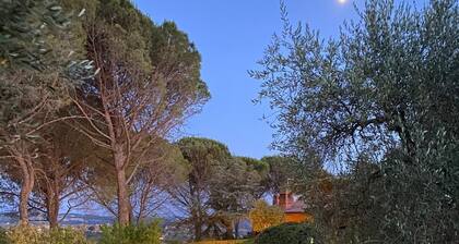 Charming and Spacious 1-bedroom apartment in tranquil Otricoli with WiFi, AC
