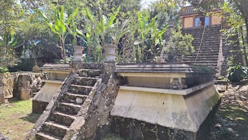 生態遊
