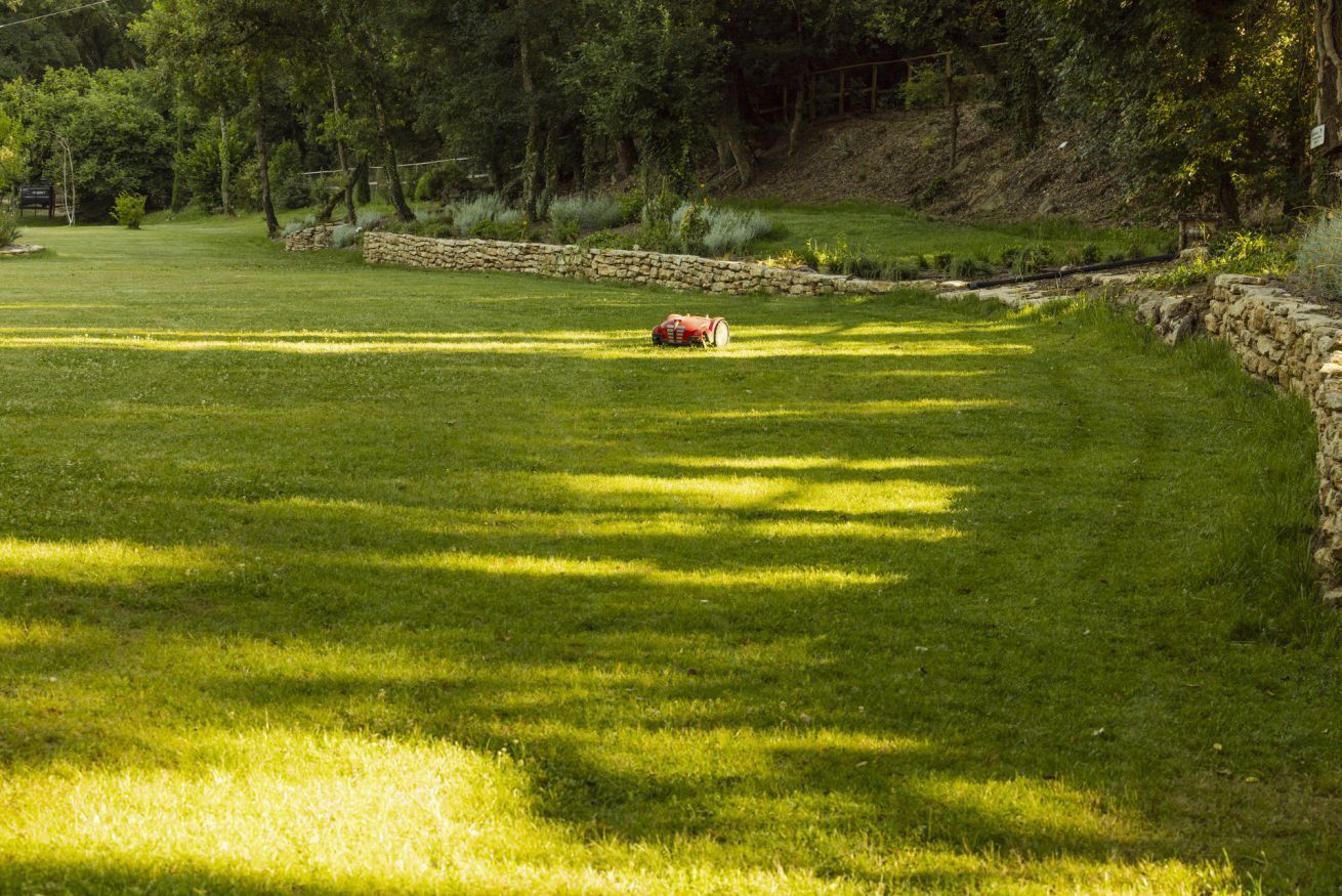 Un champ herbeux avec un mur de pierre et des arbres en arrière-plan.