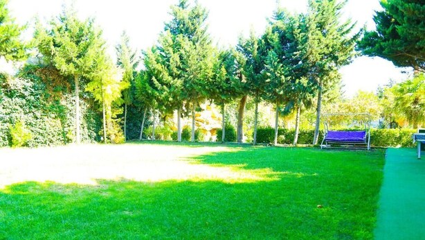 A grassy outdoor area with a bench and a metal structure. - Premier Villas (Baku)