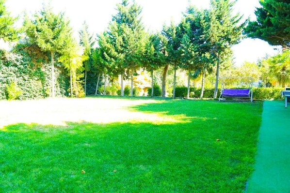 A grassy outdoor area with a bench and a metal structure.