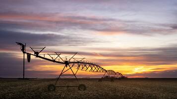 Un campo con maquinaria agrícola al atardecer.