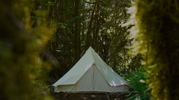 1 habitación y ropa de cama