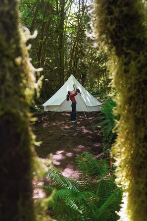 1 slaapkamer, beddengoed