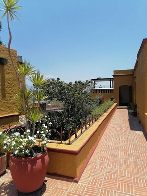 Une terrasse sur le toit, avec un sol carrelé, des plantes en pot et une vue sur le paysage urbain.